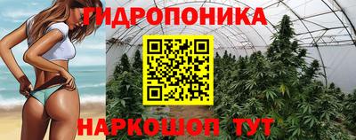 спайс Берёзовский