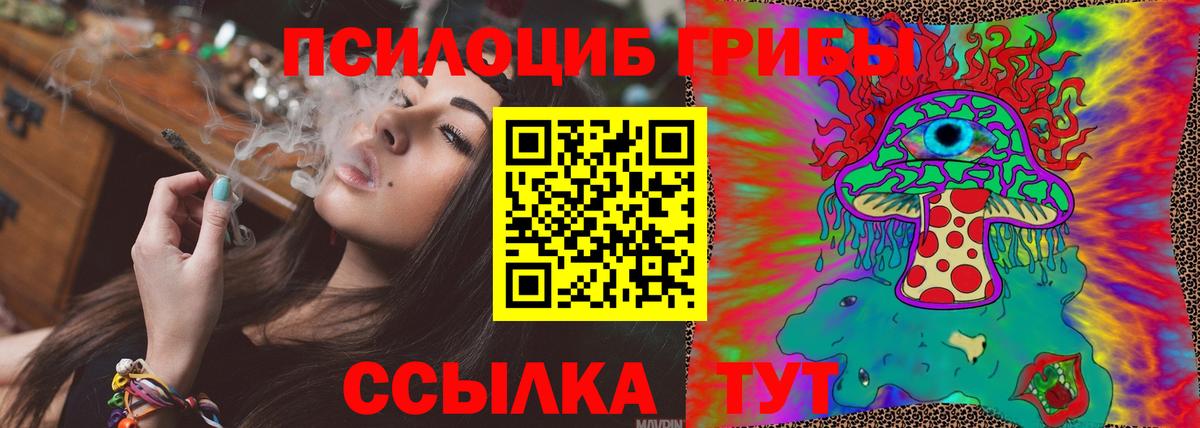 Псилоцибиновые грибы прущие грибы  Вход с VPN  Камышин  Галлюциногенные грибы MAGIC MUSHROOMS 